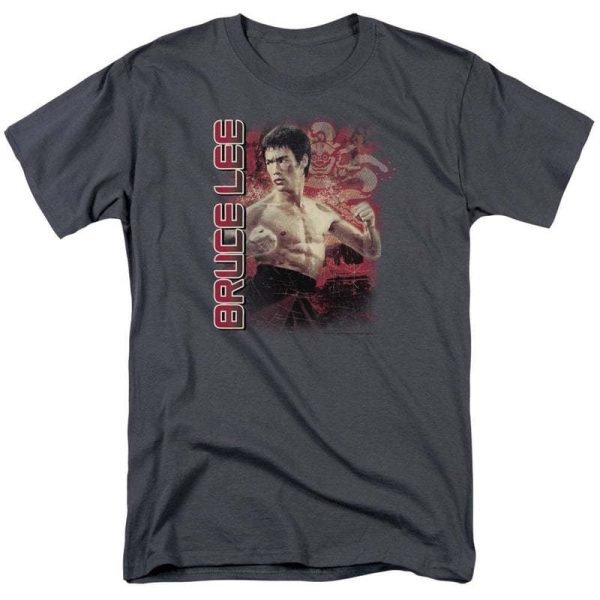 Chinese style Kung Fu heavyweight pure cotton Bruce Lee master, retro classic men's loose T-shirt for foreign trade